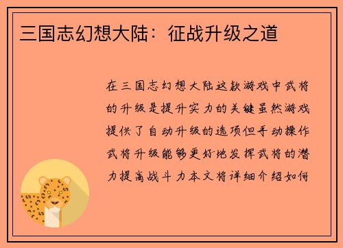 三国志幻想大陆：征战升级之道