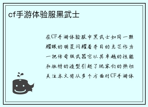 cf手游体验服黑武士